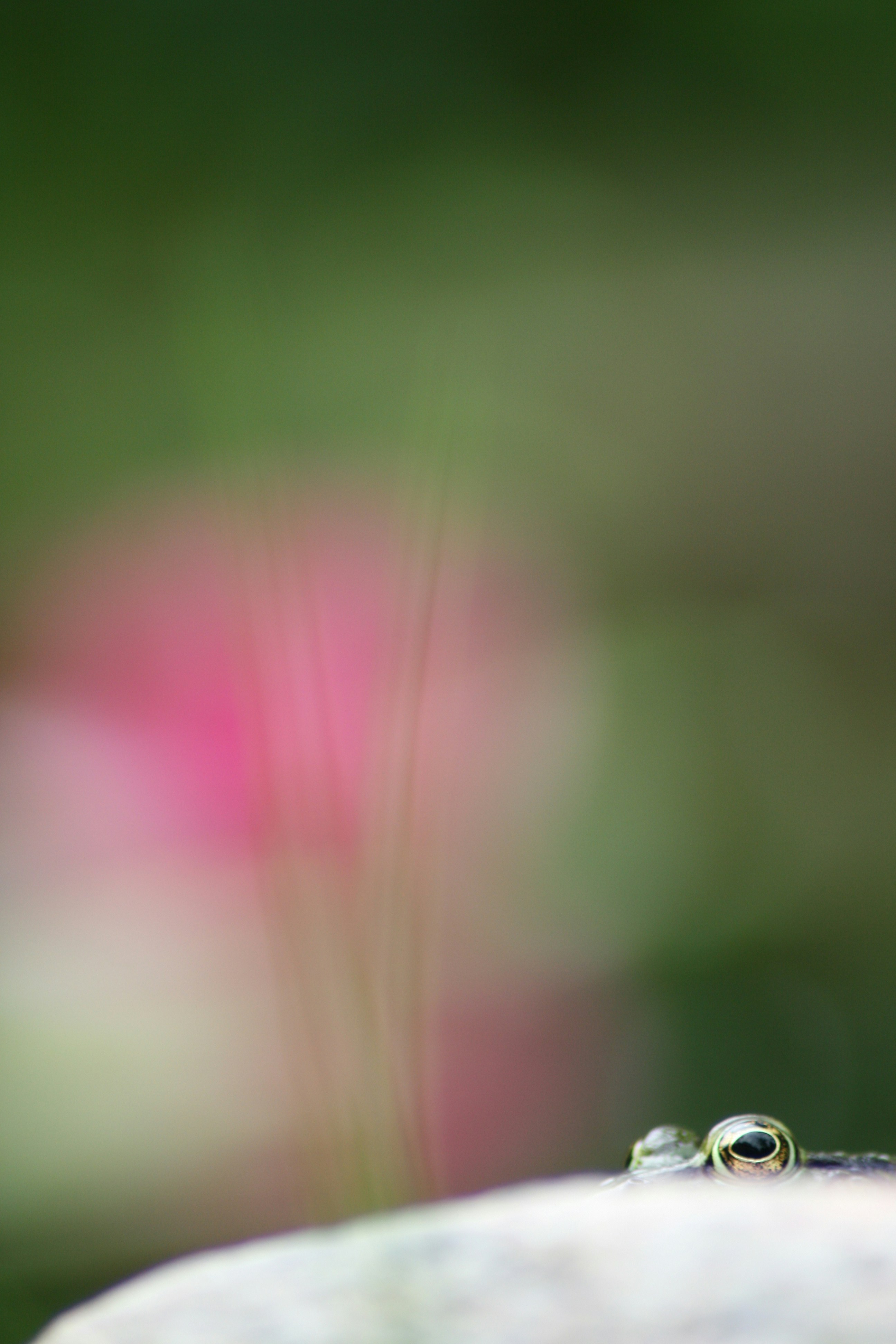 Photo by vincentvanzalinge