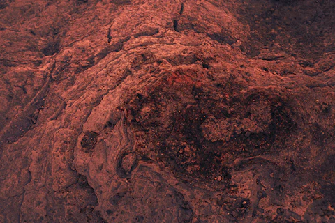 Mars Spiderweb Rocks Reveal Ancient Water Networks
