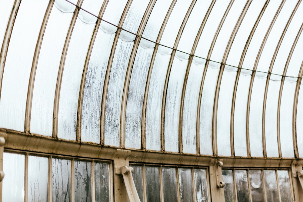 photo of frosted glass building