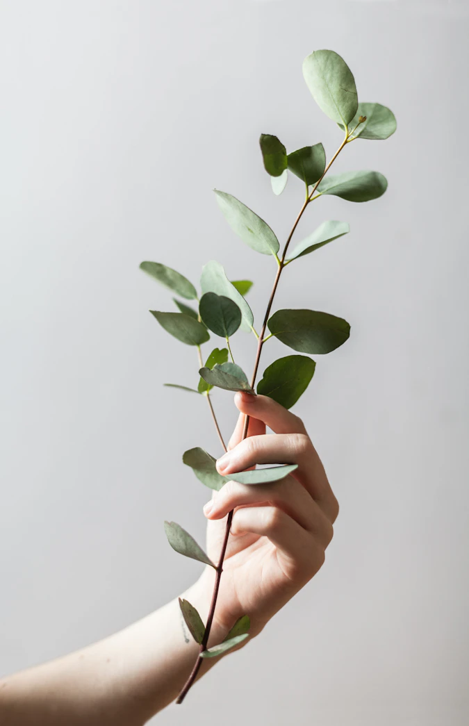 Natural elements