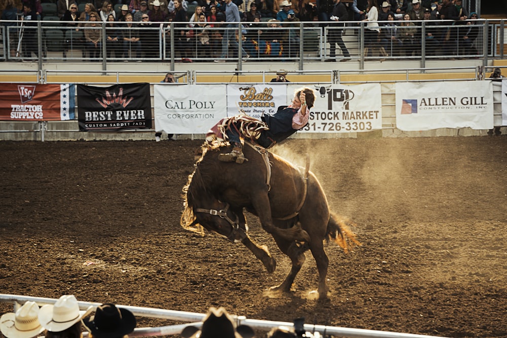 rodeo game in action