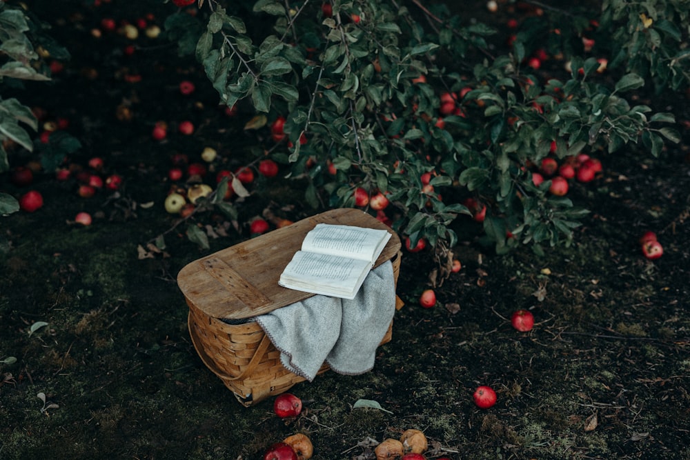 gray textile on brown wicker basket with book on top