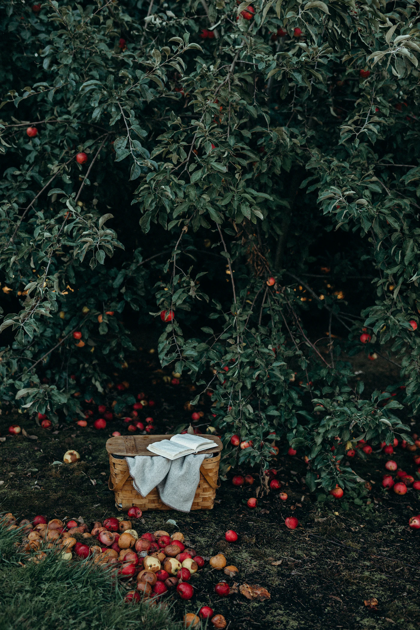 Meleto della Val di Non