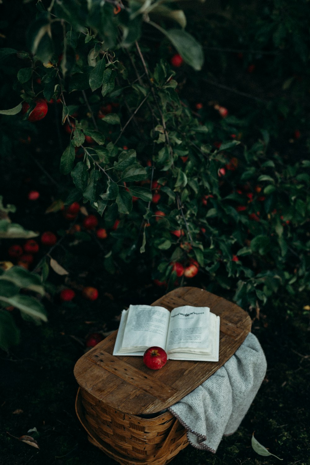 round red fruits