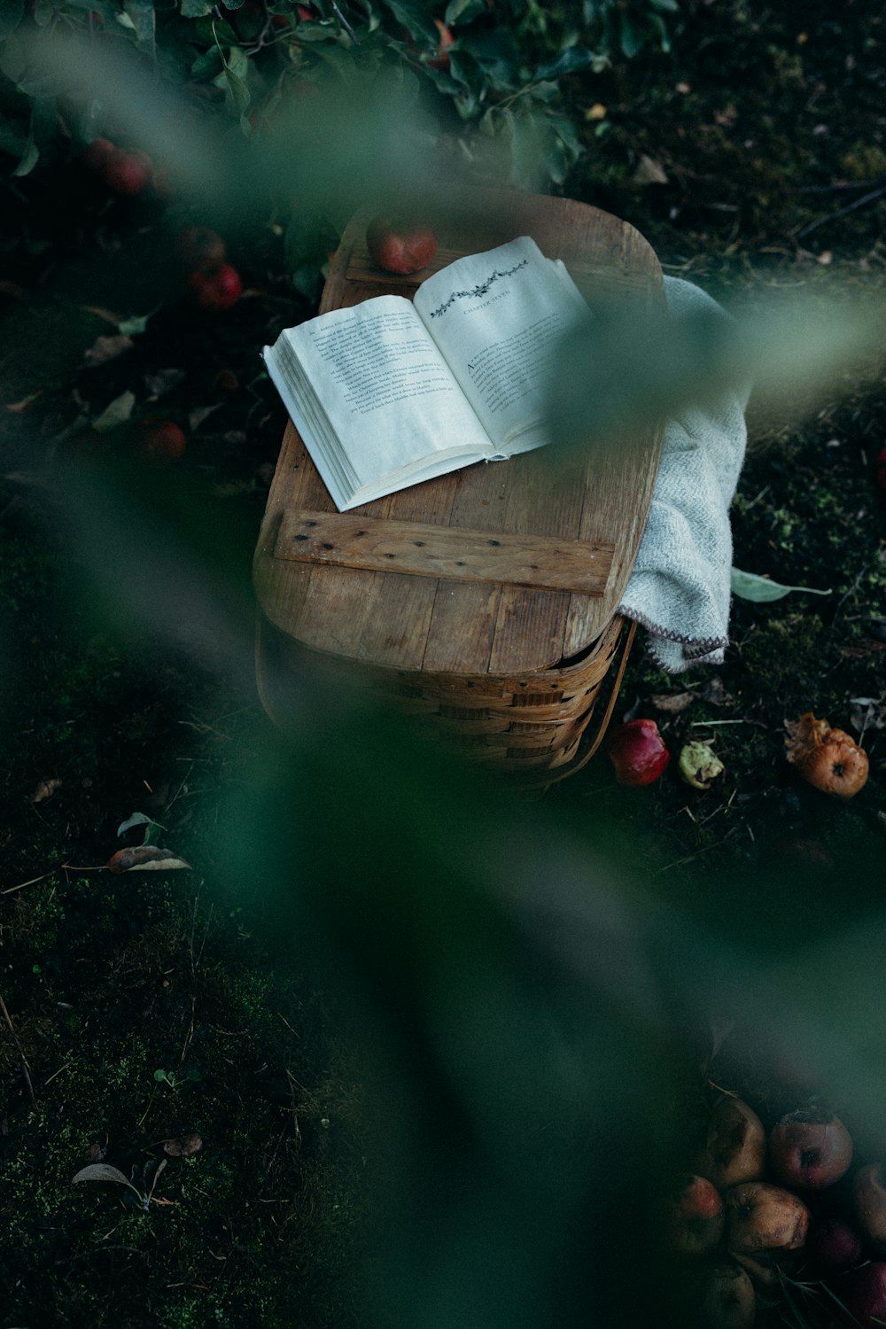 photo of opened book on top of brown basket