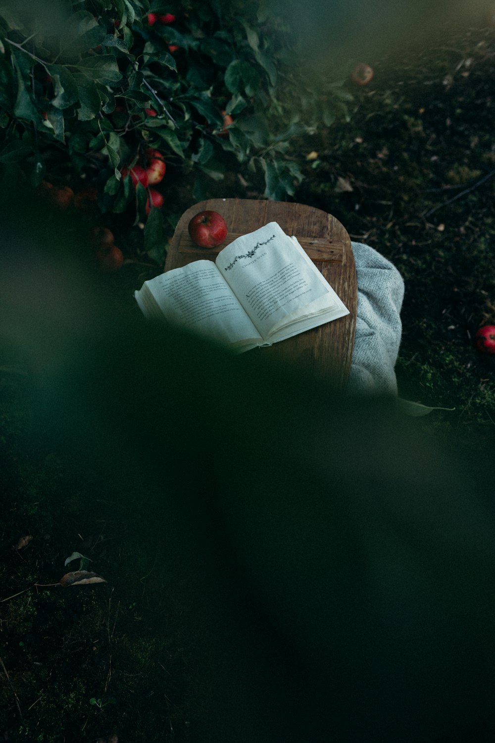 apple on brown board beside book