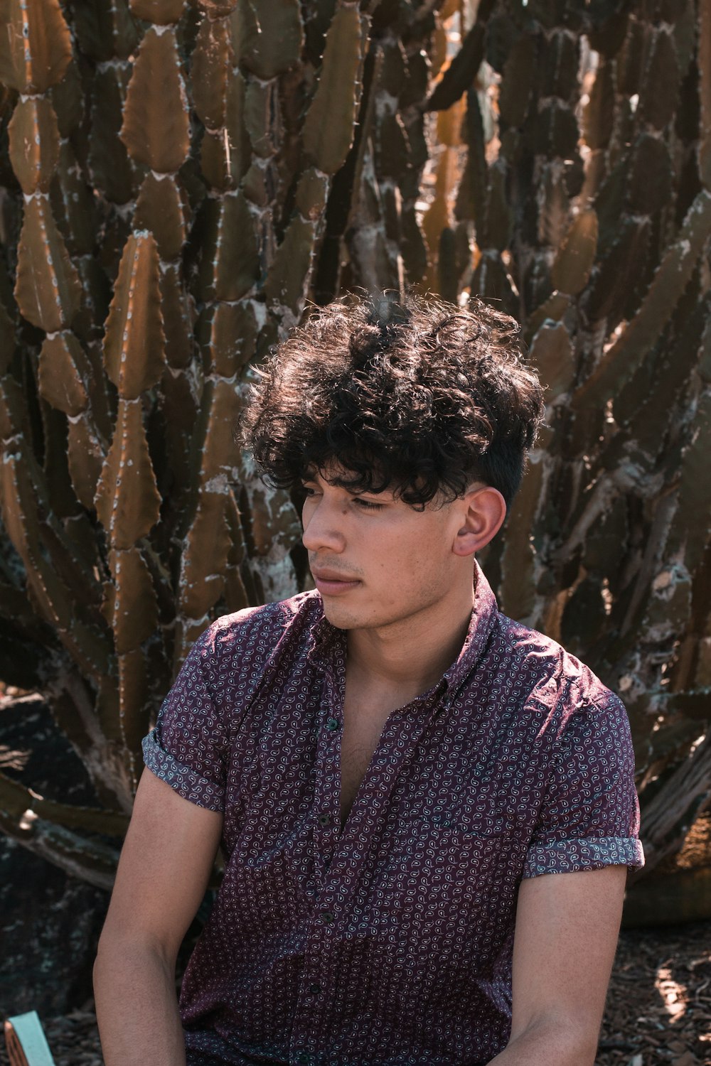 man in maroon button-up shirt sits in front of cactus