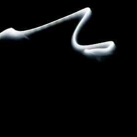 Abstract dark shape flowing with smooth motion lines representing animation.