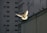 in flight dove