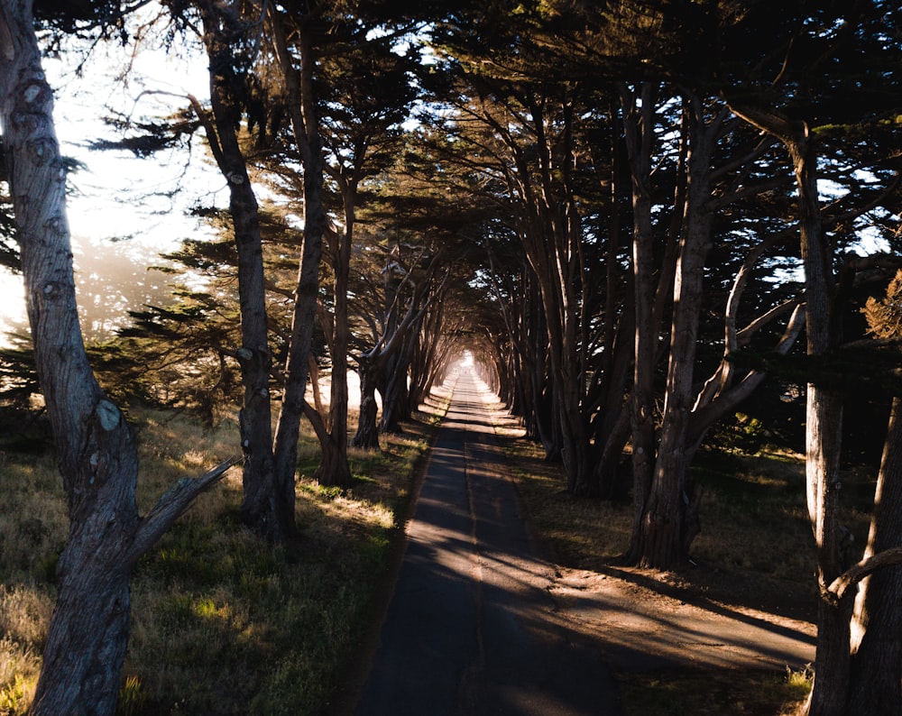 long exposure photography of road