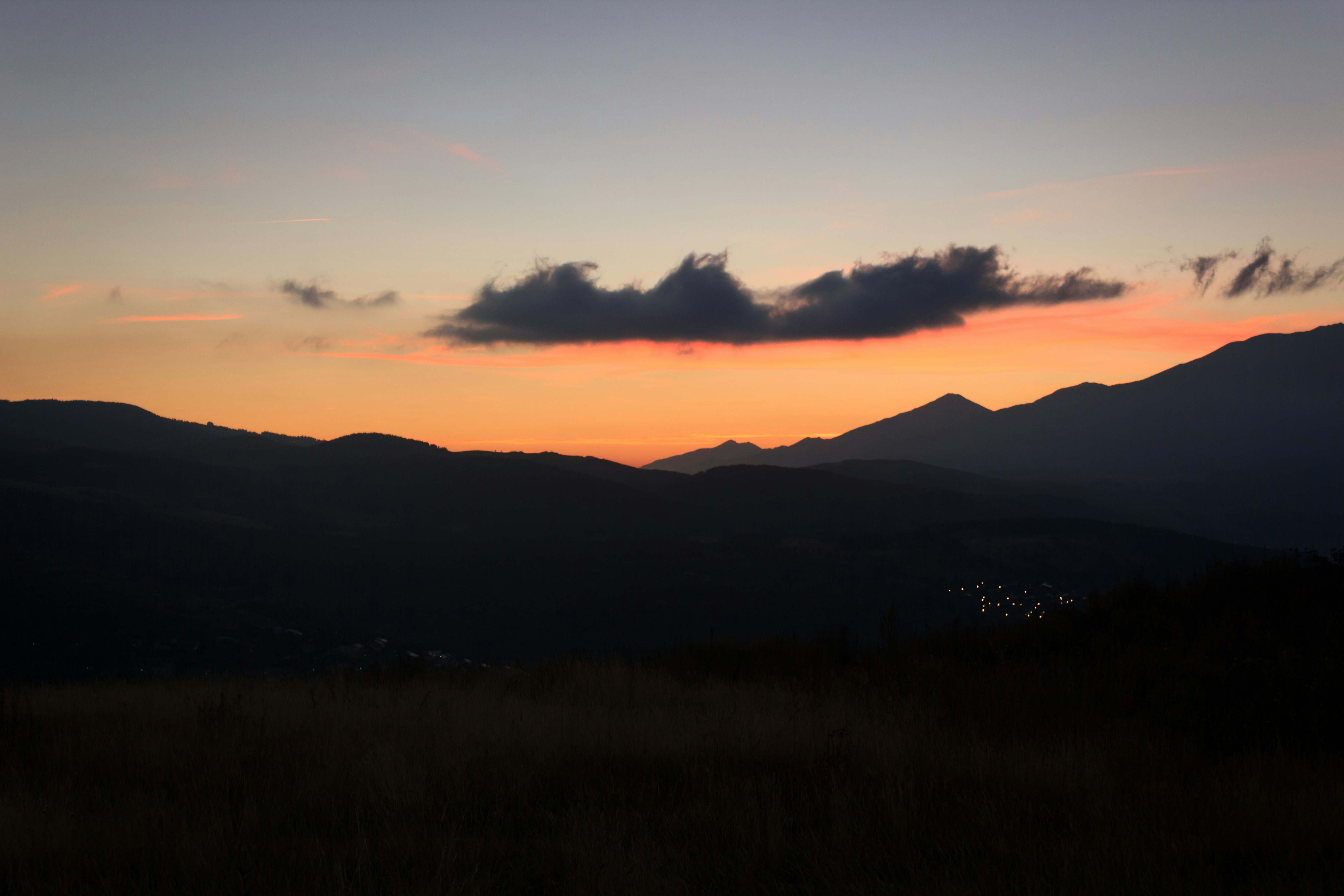 Photo by modry_dinosaurus