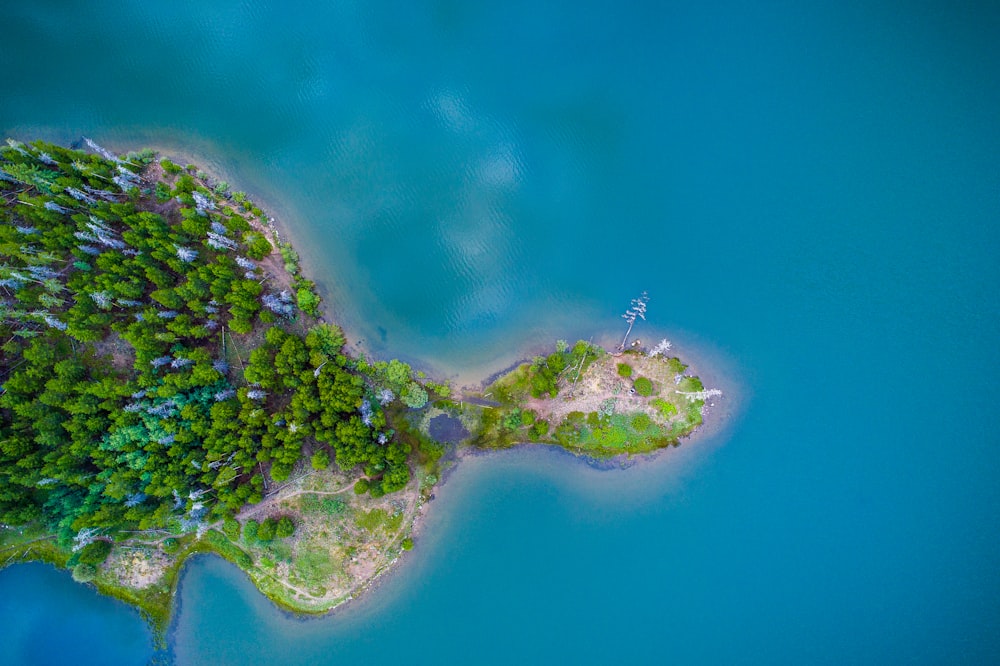 Luftaufnahme der grünen und braunen Insel und des blauen ruhigen Gewässers bei Tag