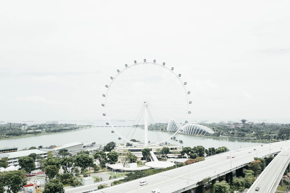 white ferris wheel beside body of water