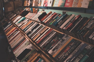 Display of books arranged neatly on shelves in an online bookstore setting.