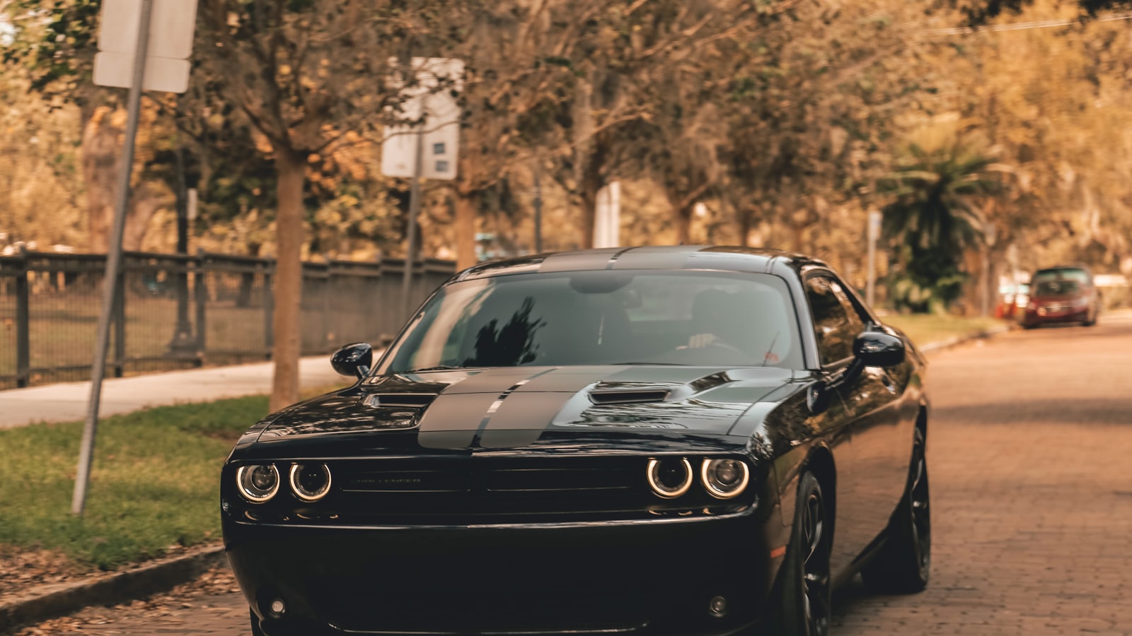 romantic,car,date