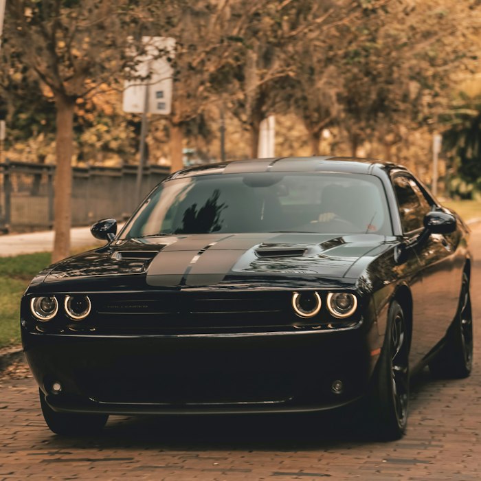 The Most Overlooked Red Flags in Vehicle History Reports