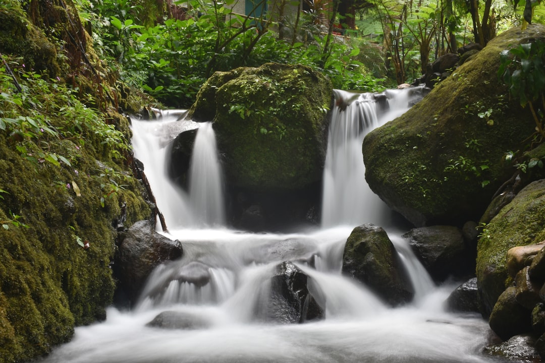 timelapse photo of water stream