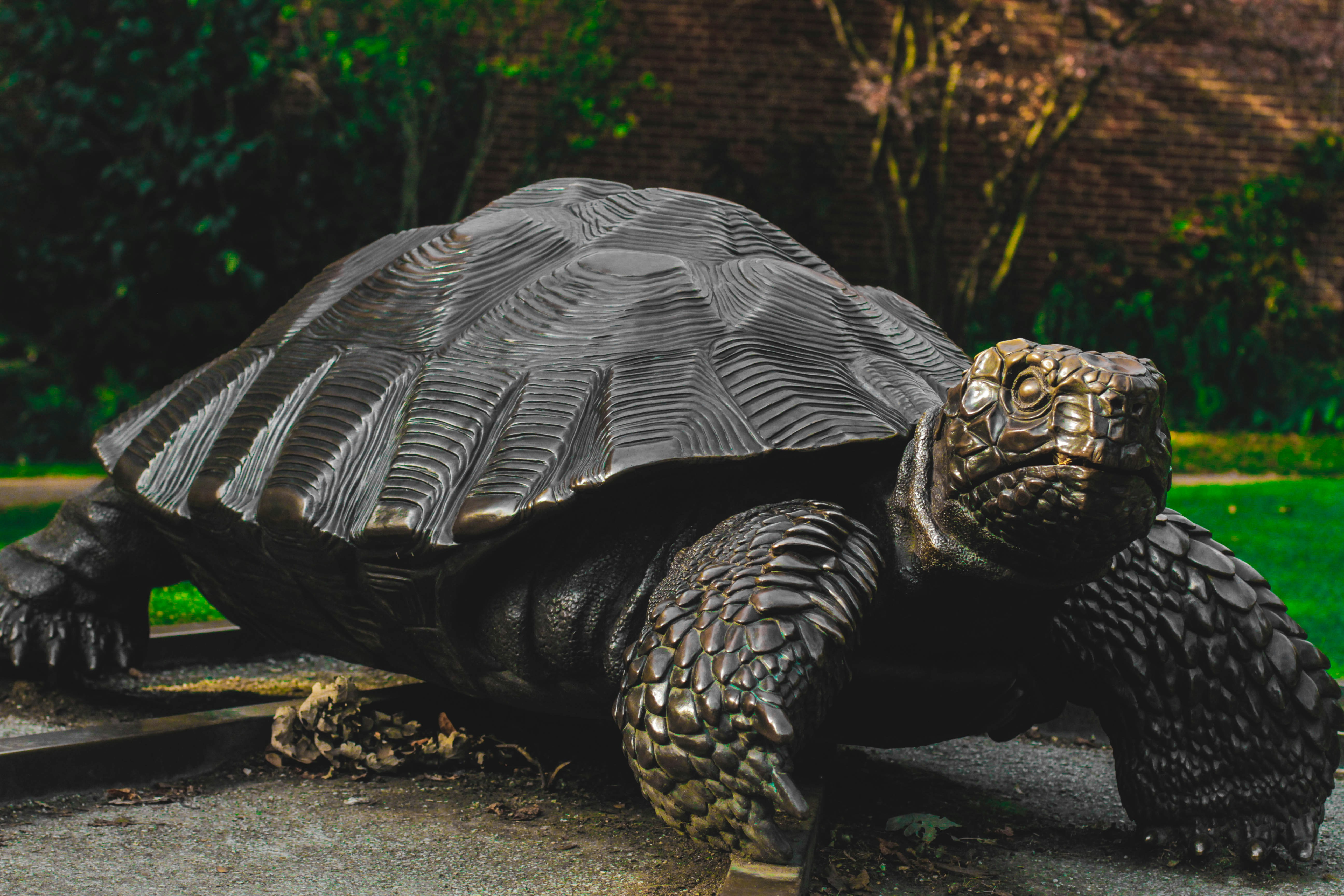 photo-1506620073550-81c0212fc589?ixlib=rb-1.2.1&ixid=eyJhcHBfaWQiOjEyMDd9&auto=format&fit=crop&w=1500&q=80