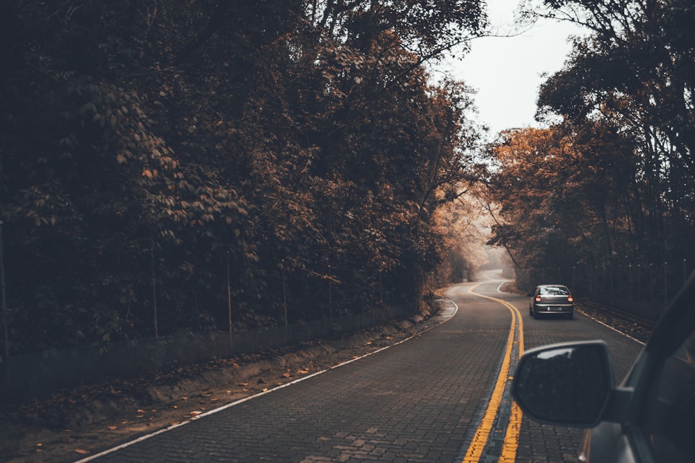 car moving thru trees