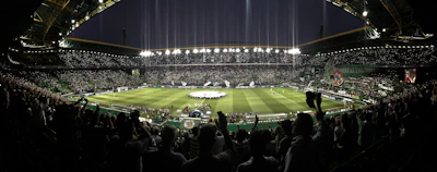 Dynamic shot of a stadium filled with cheering fans under bright floodlights during a night game.