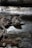 A desolate and eerie indoor scene featuring the decaying remains of an animal lying on a cracked, dirty floor. The dim lighting casts shadows, creating a somber mood. Dust and debris are scattered around, adding to the sense of neglect and abandonment.