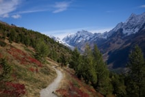 A mountain landscape featuring a winding path bordered by lush green trees and vibrant red foliage. Snow-capped peaks rise majestically in the background against a bright blue sky.