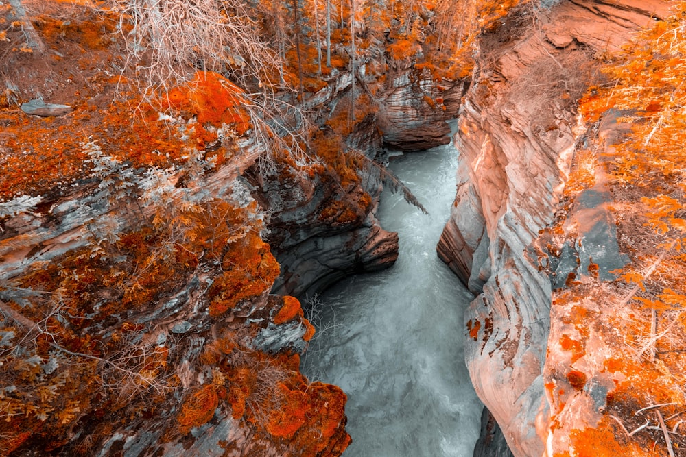 body of water between two cliffs