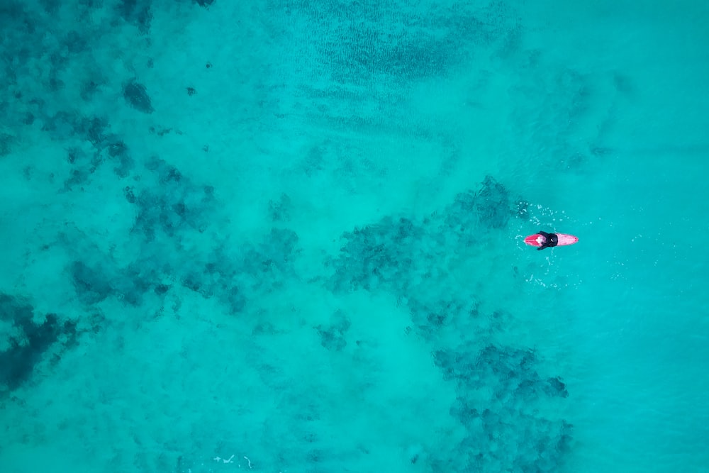 bird's eye view photography of person on body of water