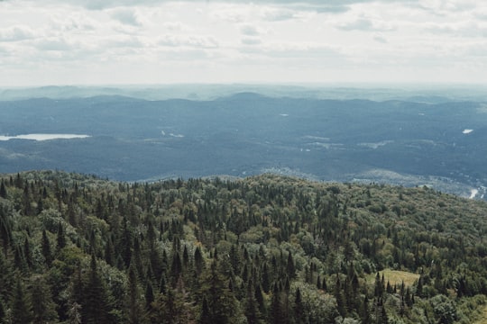 aerial view of green tree under white sky during daytime in Mont-Tremblant Canada