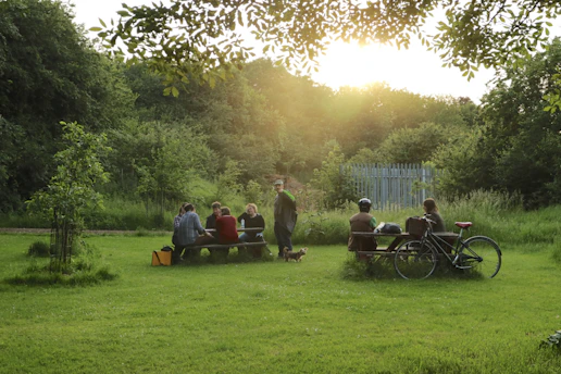 A sunny neighborhood park where community members gather around a picnic table sharing stories.