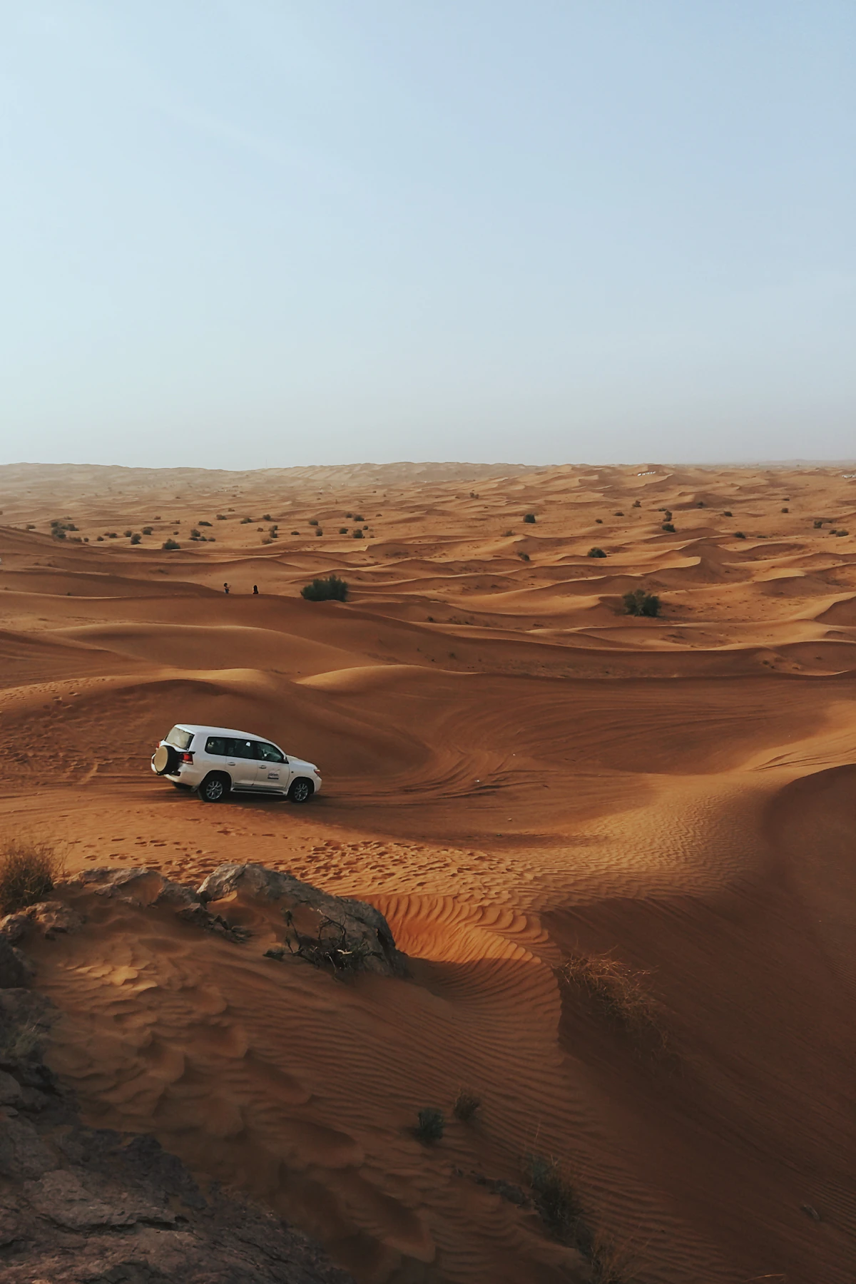 Desert Safari Dubai – buổi chiều & BBQ tối