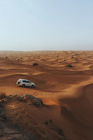 photography of white SUV on desert
