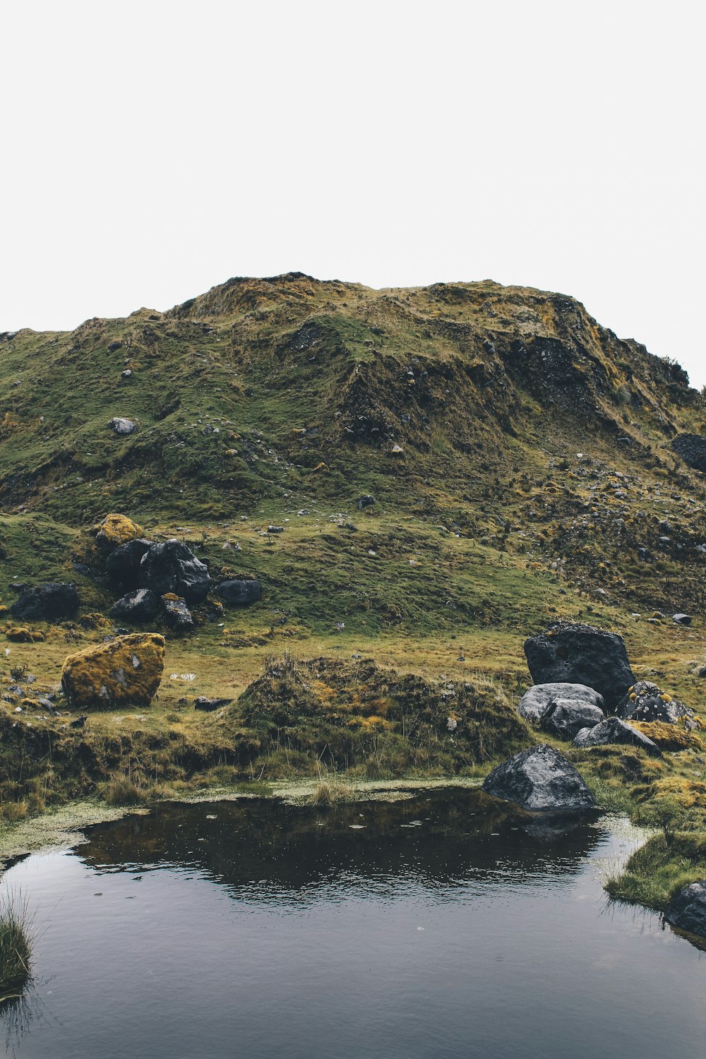 mountain covered with grass near body of water under white sky during daytime