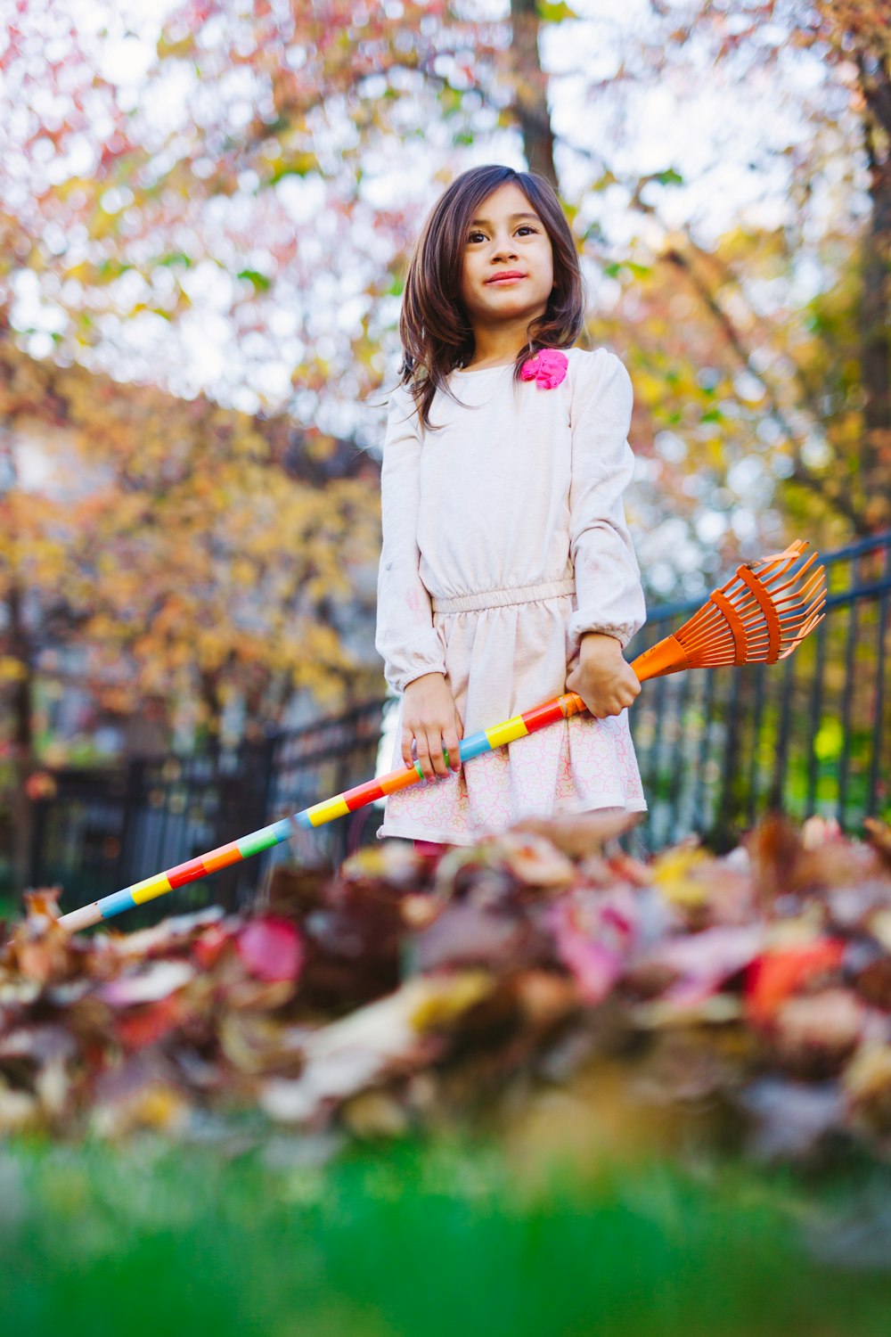 tilt shift photography of girl holding brown wooden rake