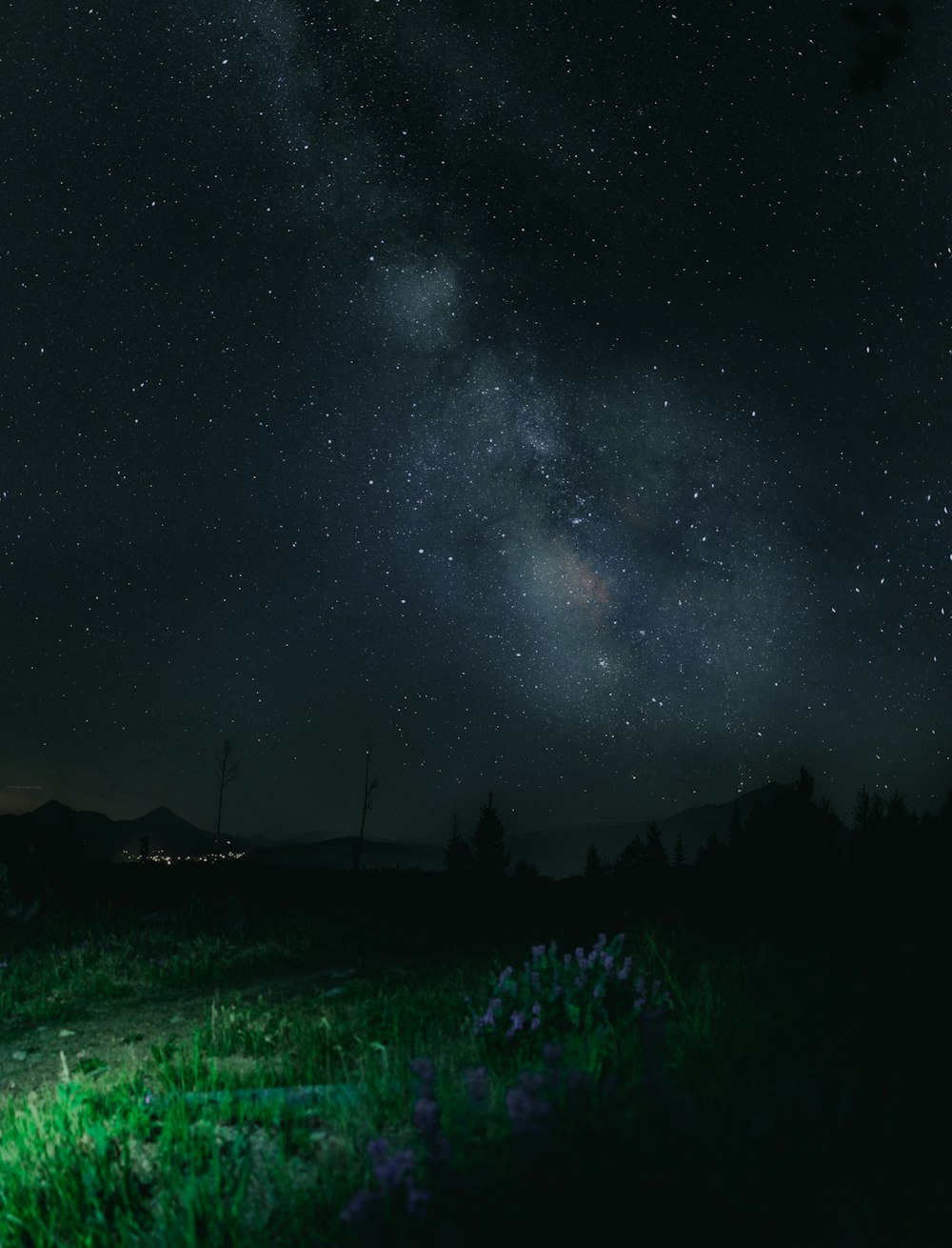 green grass under milkyway