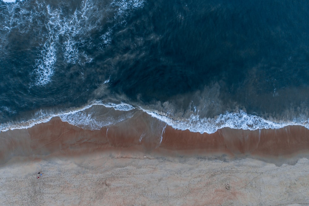 aerial photography of shoreline