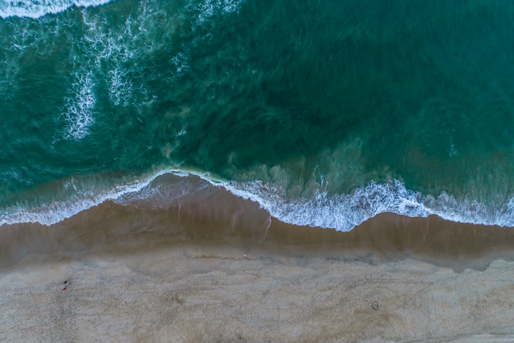 aerial photo of shoreline