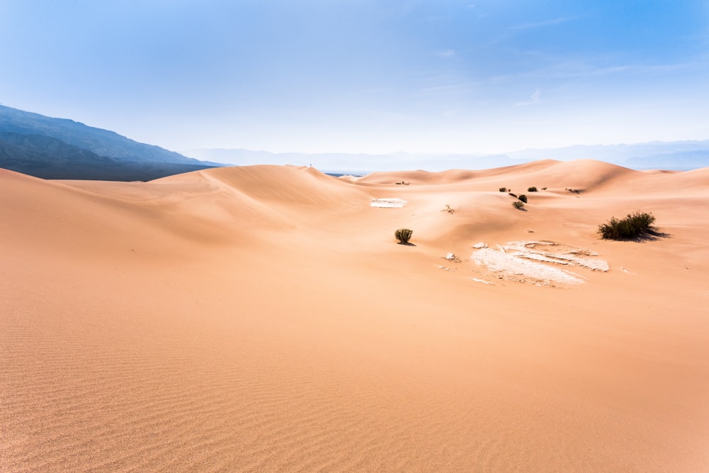 砂漠の砂丘の写真