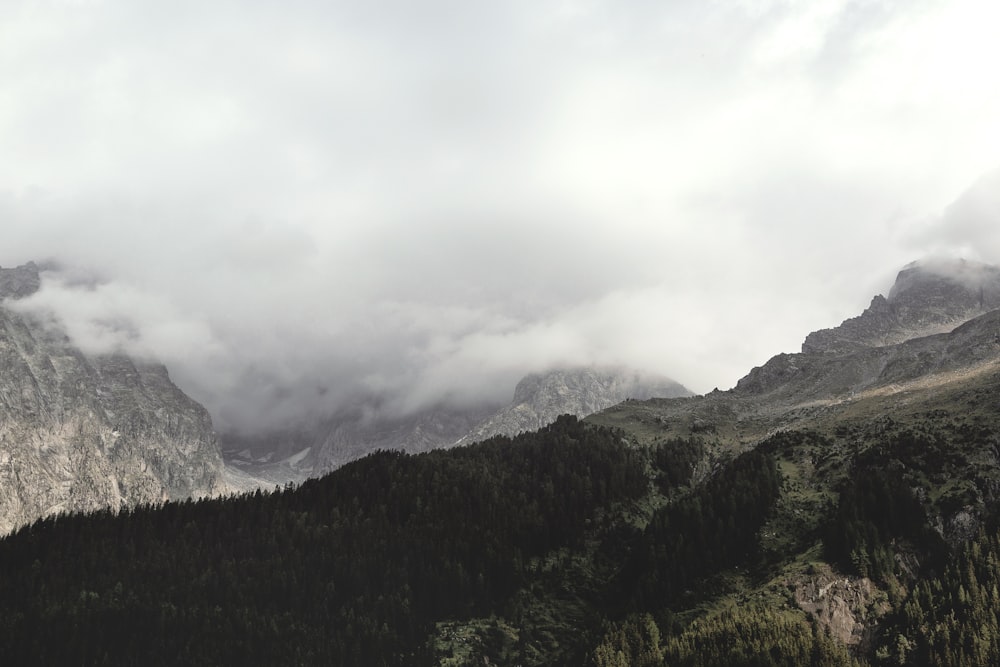 aerial view photography of green mountains