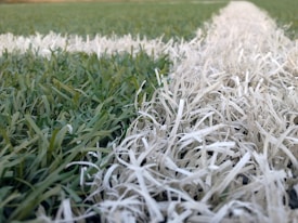 Close-up perspective of a soccer or sports field, focusing on a white painted line dividing sections of green grass and artificial turf, with distinct textures visible.