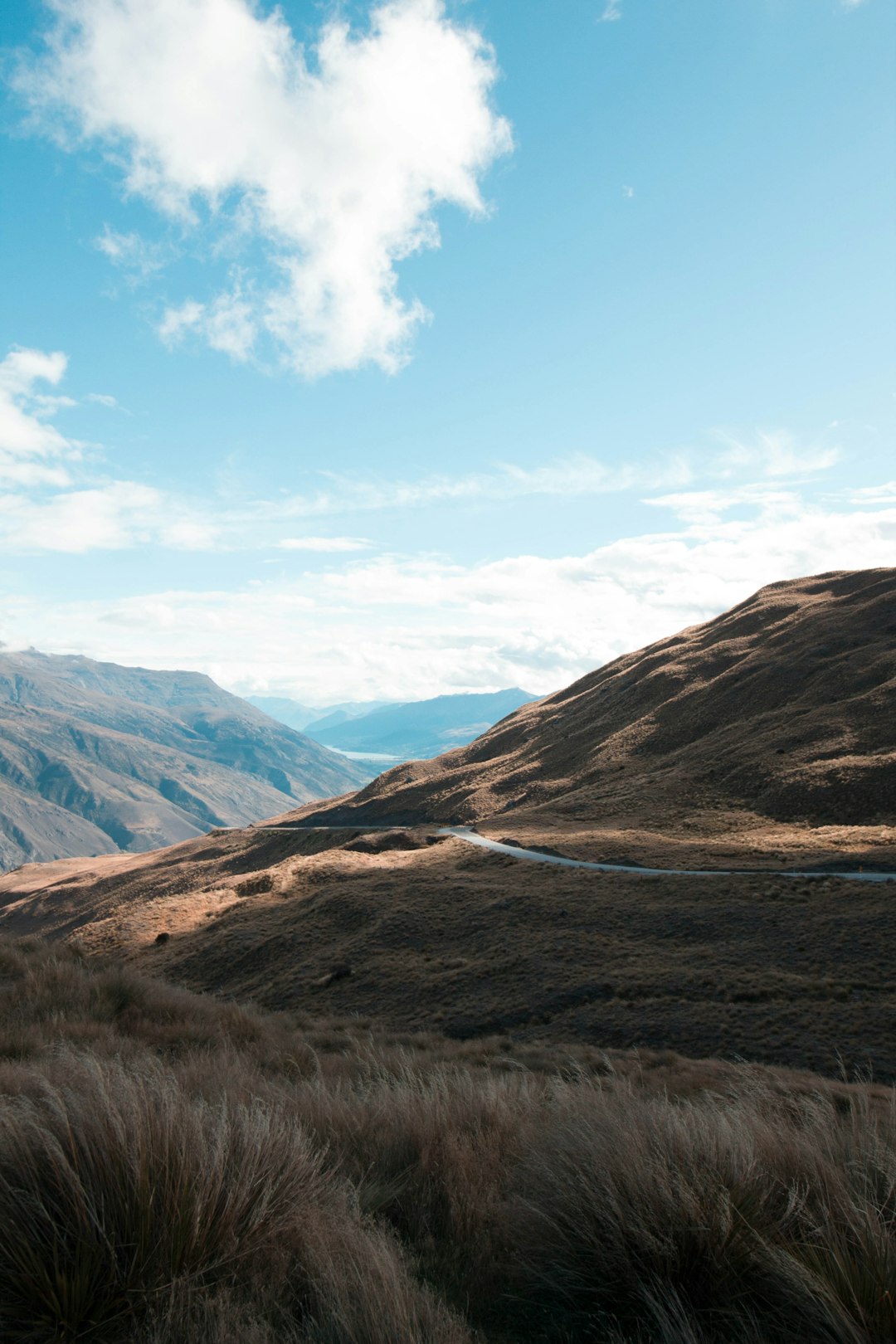 photo of Otago Hill near Rock and Pillar Range