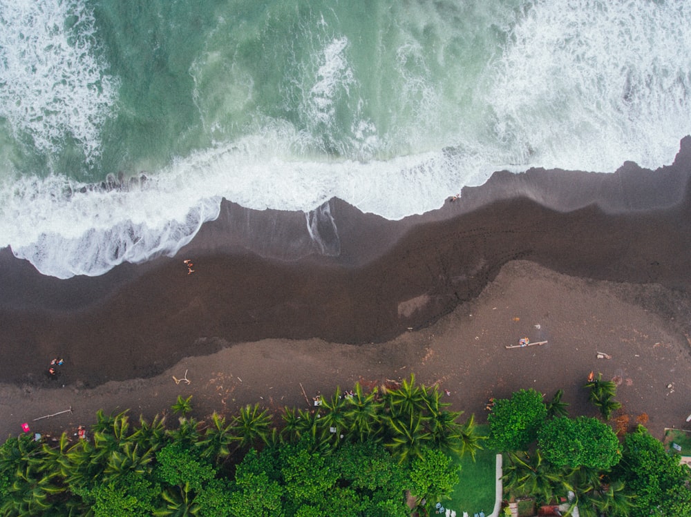 aerial photograph of seashore