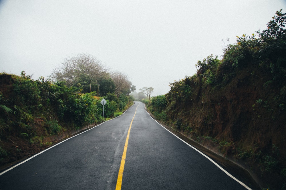 black concrete road between trees