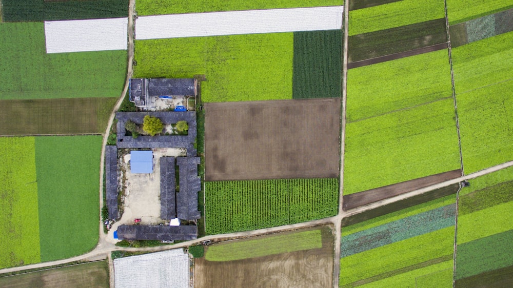 농작물 밭으로 둘러싸인 마을의 항공 사진