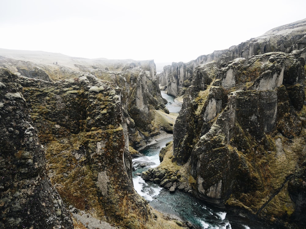 photo of valley with river