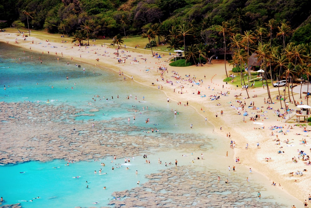 Vista aérea de personas en la orilla del mar