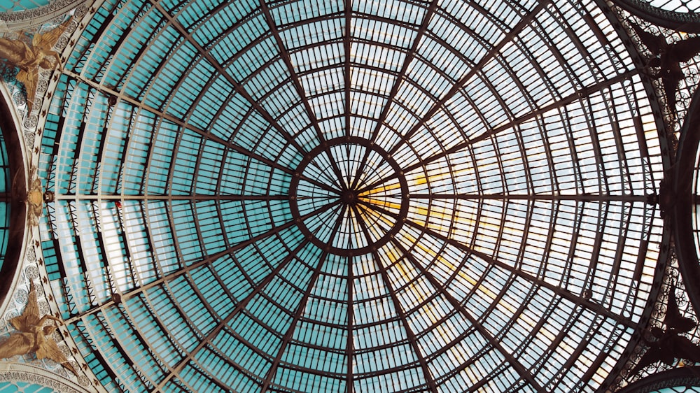 worms eye view photography of cathedral ceiling