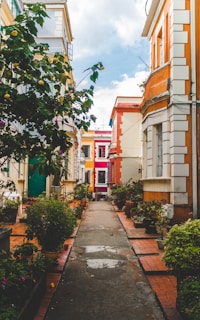 photo of narrow road beside concrete houses during daytime