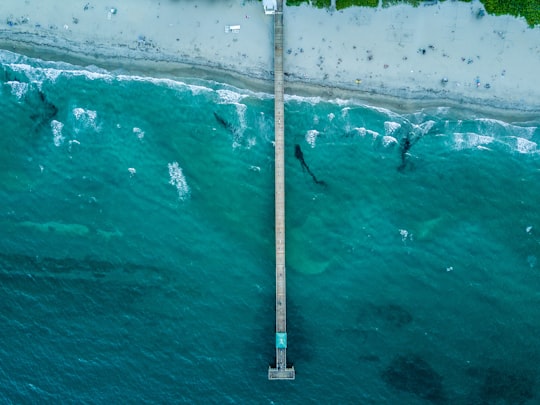 Deerfield Beach International Fishing Pier things to do in Lighthouse Point