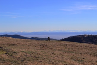 A serene outdoor scene with rolling green hills and wildflowers under a bright blue sky, featuring a person holding a metal detector and a small smart tag attached to their backpack.